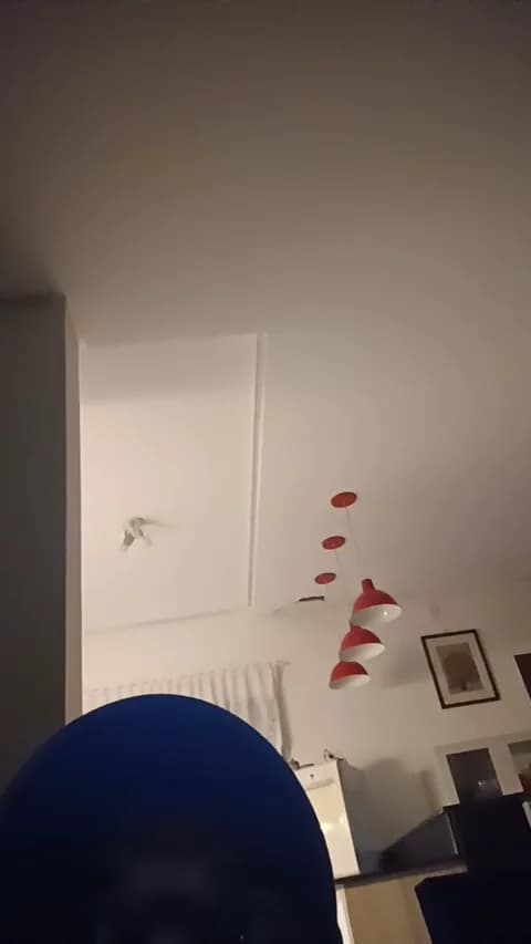 [2026-04-18 03:29] PeludassoBaiano Show (32m)