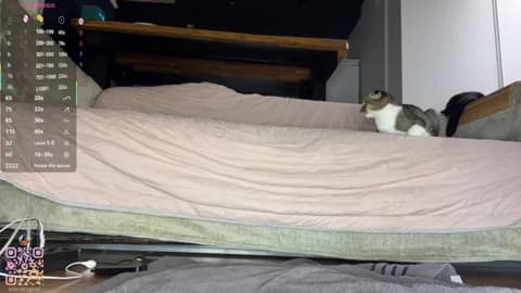 [2026-04-01 02:33] SweetSakuraJane Show (83m)