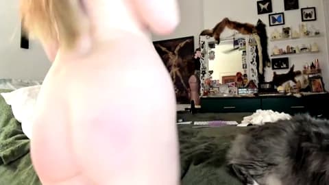 [2026-02-21 04:17] eve003300 Show (90m)