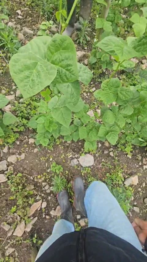 [2026-04-09 16:46] jo23_xxx Show (41m)