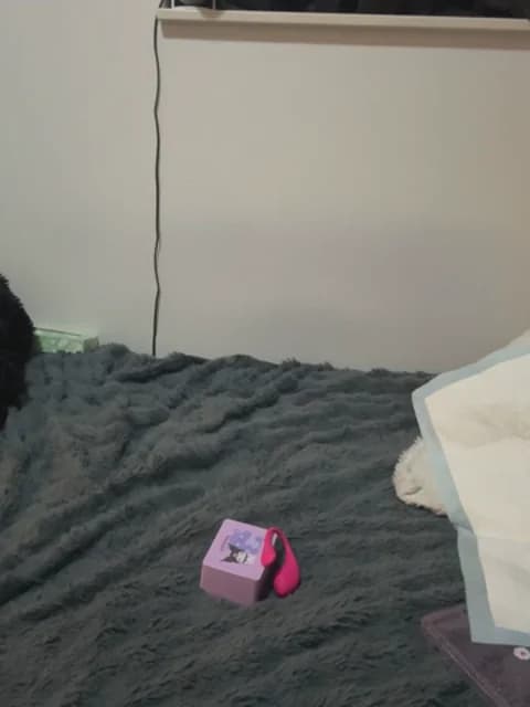 [2026-05-07 11:48] jura_xxx Show (31m)