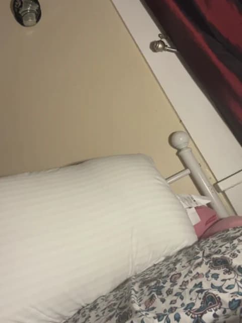 [2026-03-17 10:21] lexuslover687 Show (50m)