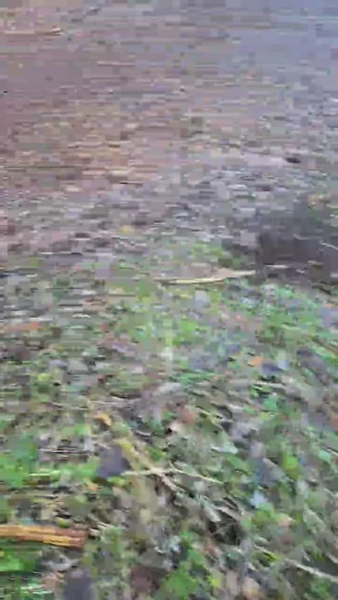 [2026-01-16 16:36] likescock5 Show (64m)