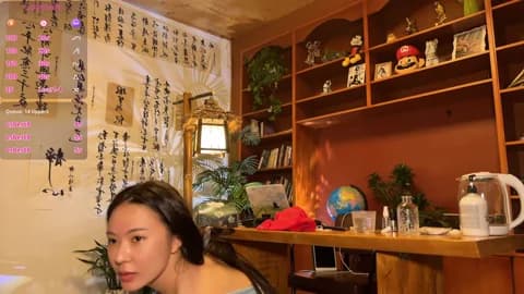 [2026-04-12 14:13] meowLili Show (62m)