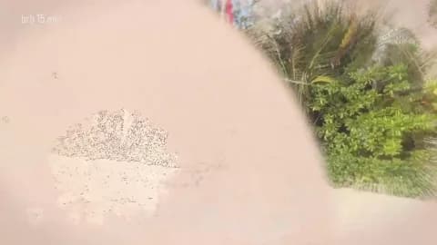 [2026-01-16 10:19] taanni_bc Show (76m)