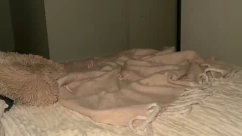 [2026-01-19 20:56] taliavaine Show (100m)